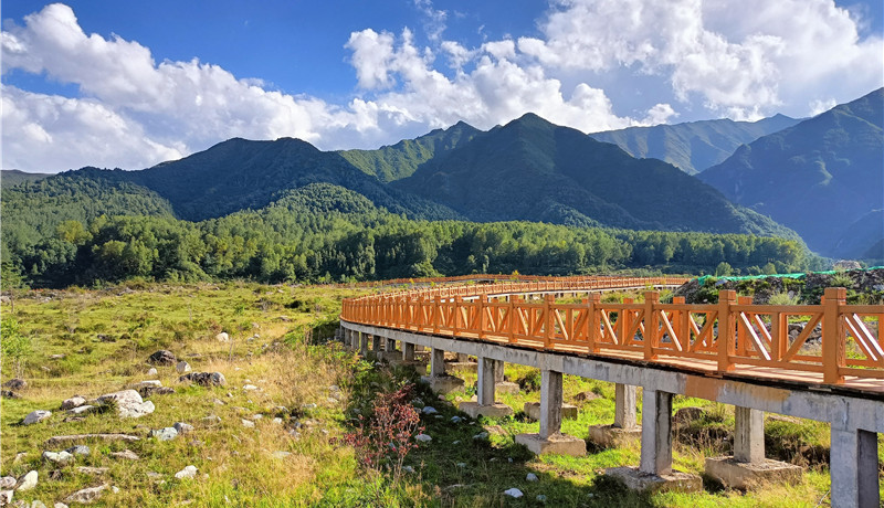 【网络名人看临夏】积石山县：以山水画卷为底色  建设和美乡村幸福家园