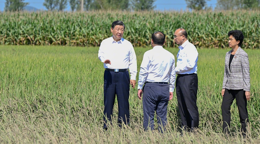 习近平在黑龙江尚志市看望慰问受灾群众