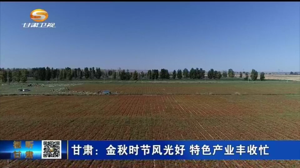 【短视频】甘肃：金秋时节风光好 特色产业丰收忙