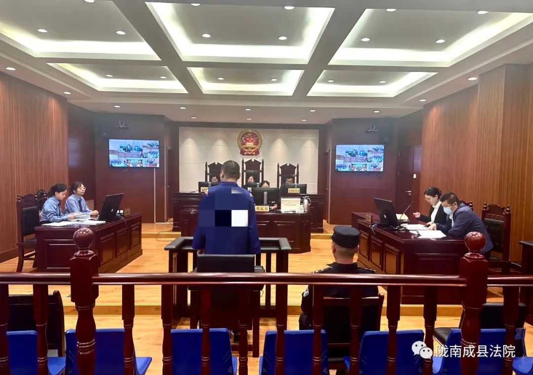 一男子挪用资金为已用被判一年十个月