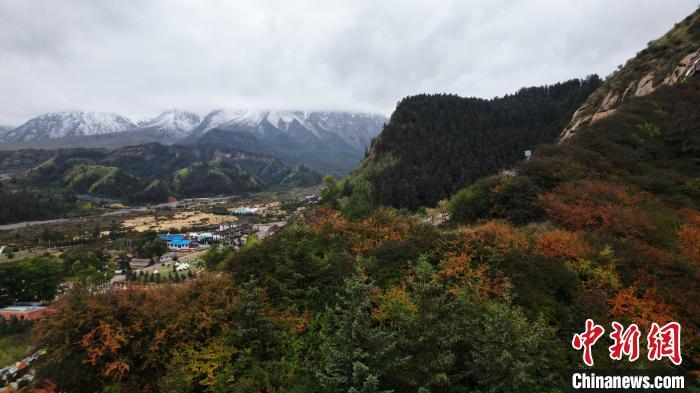 雪山下的秋色引人入胜。杨艳敏 摄</p>
<p> 雪山下的秋色引人入胜。杨艳敏 摄</p>
<p>