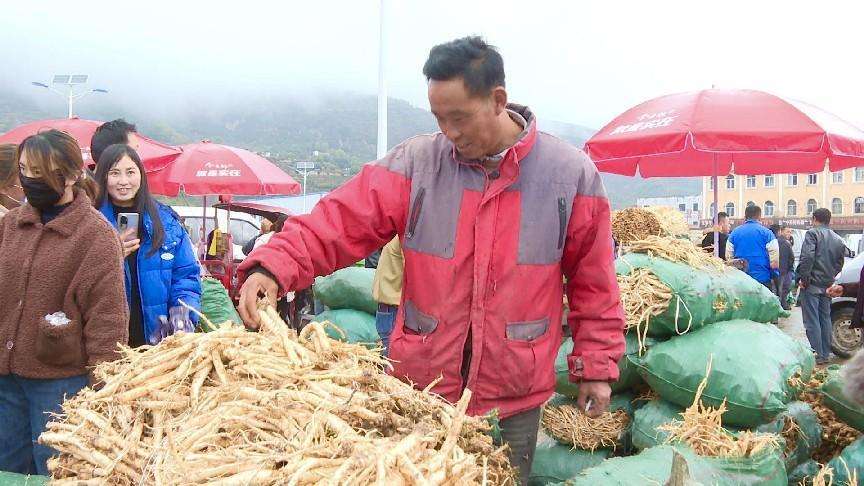 药农露出了丰收的笑脸