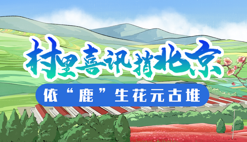 手绘H5丨村里喜讯捎北京 依“鹿”生花元古堆