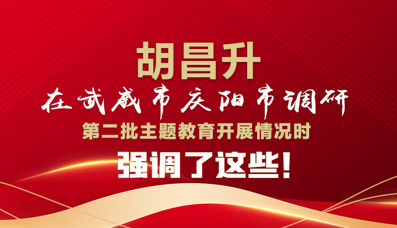 图解|胡昌升在武威市庆阳市调研第二批主题教育开展情况时强调了这些！