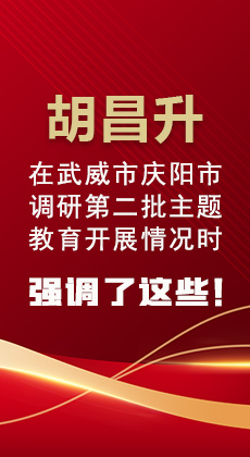 图解|胡昌升在武威市庆阳市调研第二批主题教育开展情况时强调了这些！