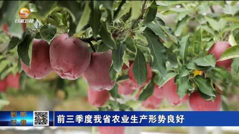 【甘快看】前三季度甘肃省农业生产形势良好
