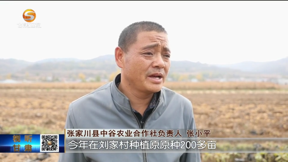 复制图片