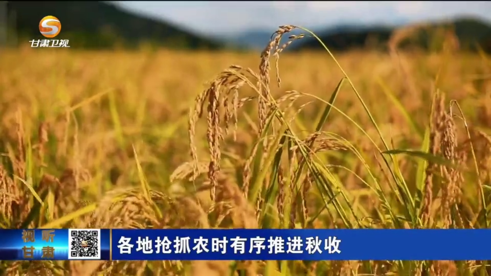 复制图片
