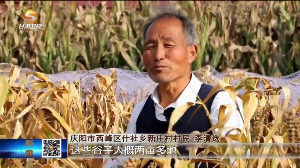 复制图片