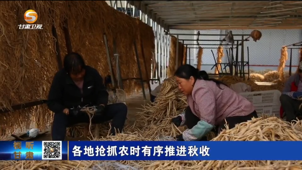 复制图片