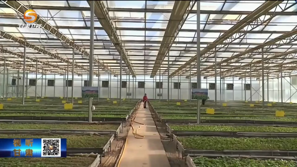 复制图片