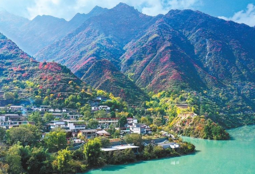 文县玉垒乡白水江畔层林尽染 美不胜收