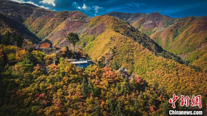 深秋,位于兰州市榆中县的兴隆山,似打翻调色板。金峯 摄 深秋,位于兰州市榆中县的兴隆山,似打翻调色板。金峯 摄