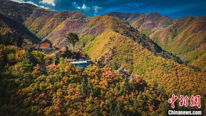 深秋，位于兰州市榆中县的兴隆山，似打翻调色板。金峯 摄