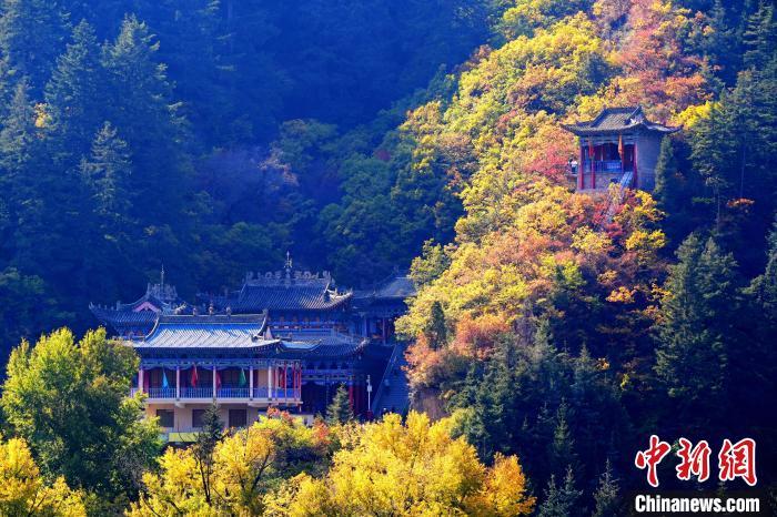 深秋,位于兰州市榆中县的兴隆山景色如画。宫卫红 摄 深秋,位于兰州市榆中县的兴隆山景色如画。宫卫红 摄