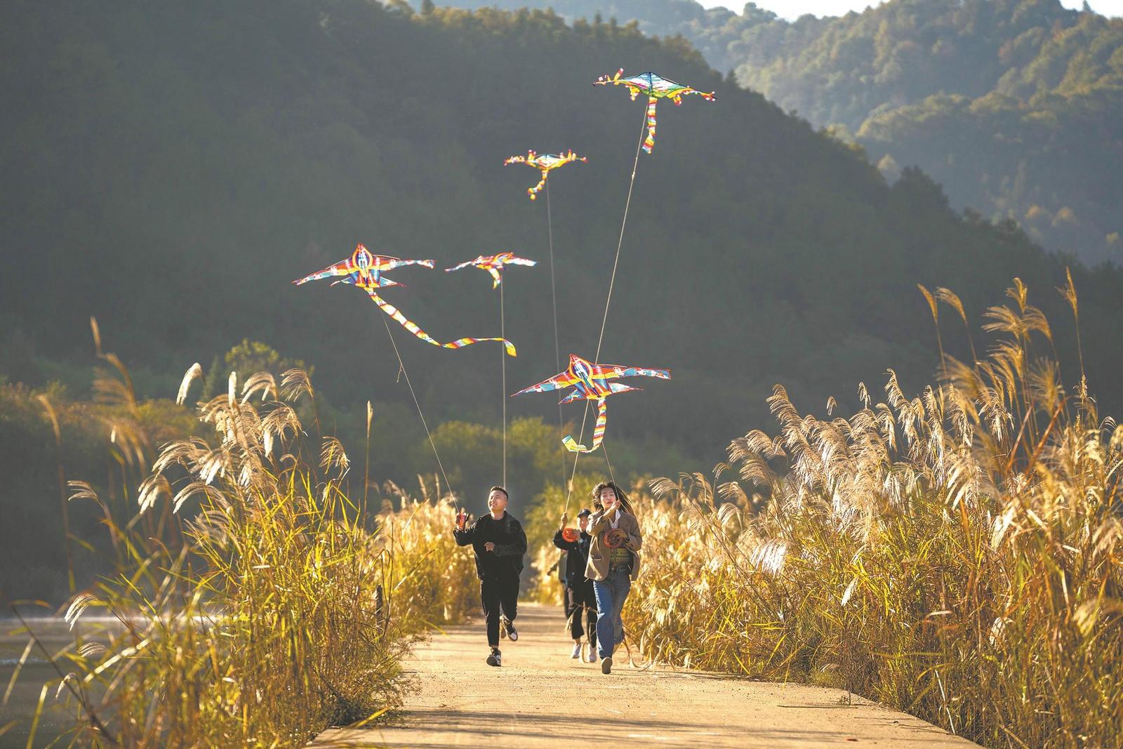 深秋时节,位于宁国市甲路镇周湾村花林畈的湿地公园千亩芦花迎来最佳观赏期。近年来,宁国市将生态颜值转变成旅游价值,以山清水秀的自然环境促进乡村旅游发展。 通讯员 黄 欢 摄