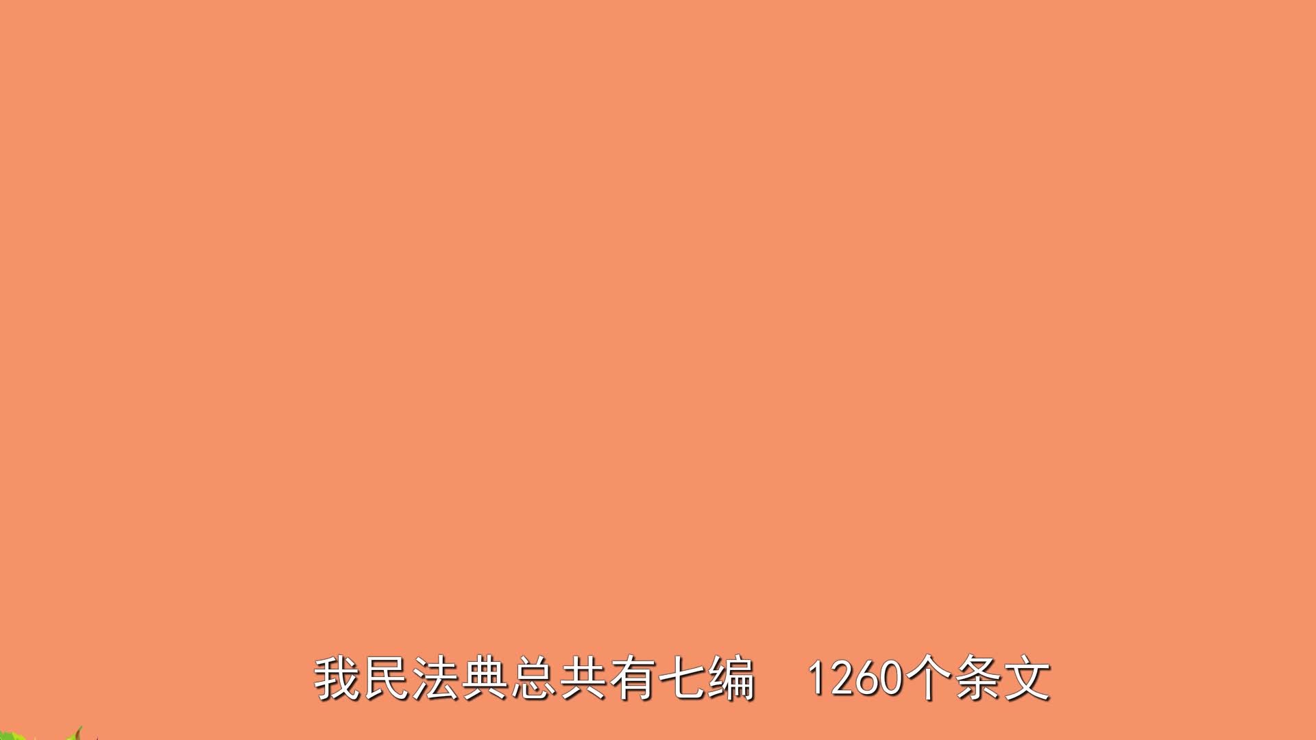 我是民法典