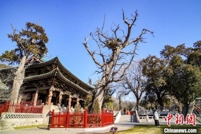 晋祠际山枕水,古木参天,殿阁林立,亭台相间,自然山水与人文遗存交相辉映。武俊杰 摄 晋祠际山枕水,古木参天,殿阁林立,亭台相间,自然山水与人文遗存交相辉映。武俊杰 摄