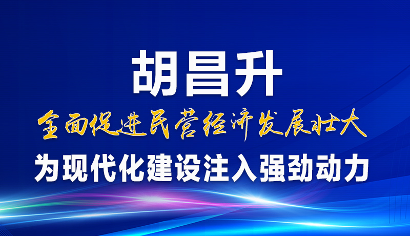 图解|胡昌升：全面促进民营经济发展壮大 为现代化建设注入强劲动力