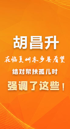  图解|胡昌升在临夏州东乡县看望结对帮扶孤儿时强调了这些！