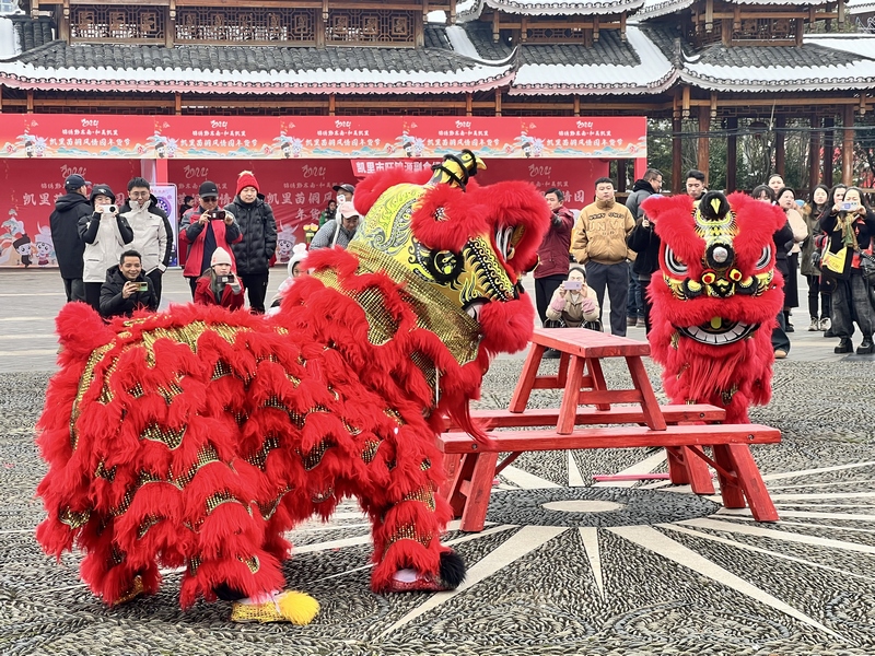 市民纷纷前来看表演、购年货。