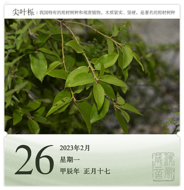 箴历日历2-26.png