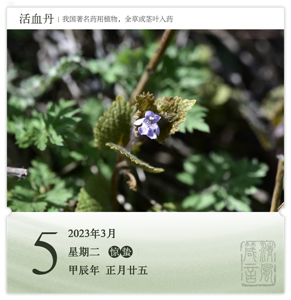 箴历日历3-5.png