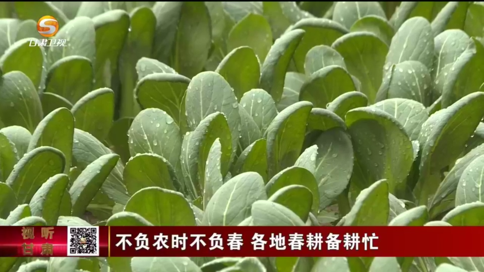 复制图片