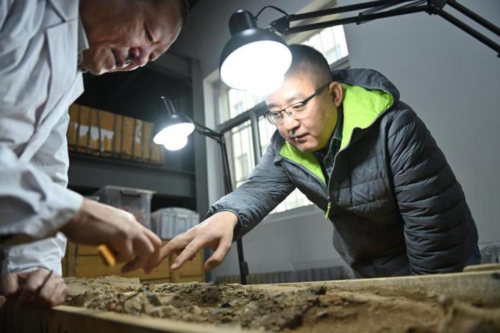 2023年10月24日，甘肃省文物考古研究所副研究馆员谢焱(右)与同事进行马家塬西戎墓葬群实验室考古工作。李亚龙 摄