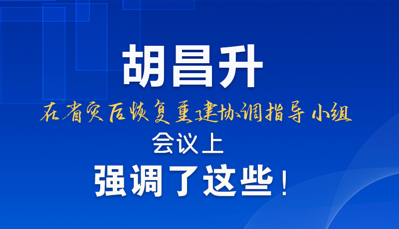 图解|胡昌升在省灾后恢复重建协调指导小组会议上强调了这些！