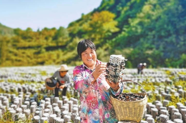 【乡村·新聚焦】粮食丰 产业兴 乡村美——甘肃省“三农”工作取得新进展