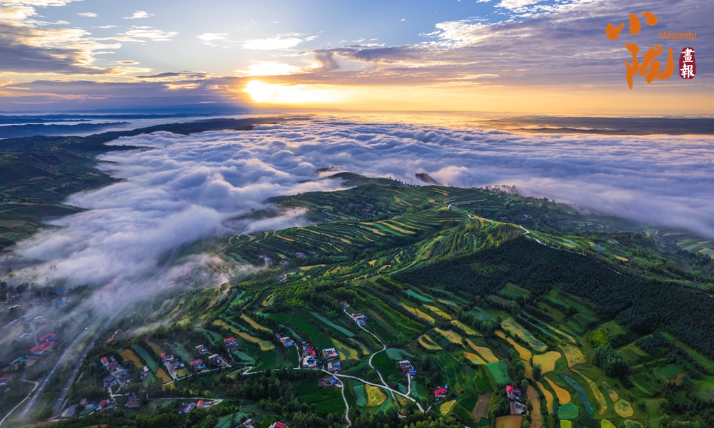 【小陇画报·254期】和政南阳山：浩瀚云海 壮美奇观