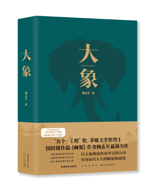 《大象》出版座谈会在京举办