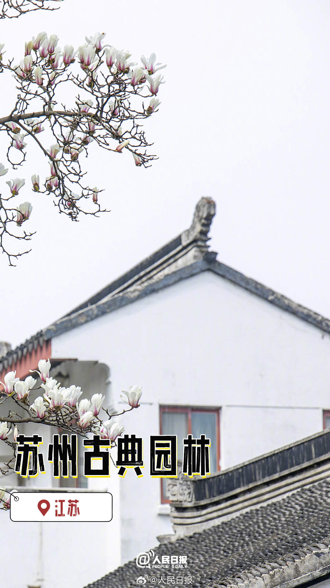 1713400200815507.jpg?x-oss-process=style/w10 6.jpg?x-oss-process=style/w10