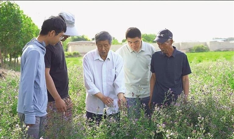 “中国苜蓿制种第一人”曹致中：一粒草种一生情