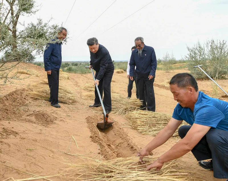 2019年8月21日,习近平来到甘肃省武威市古浪县八步沙林场,实地察看当地治沙造林、生态保护等情况。新华社记者 谢环驰 摄
