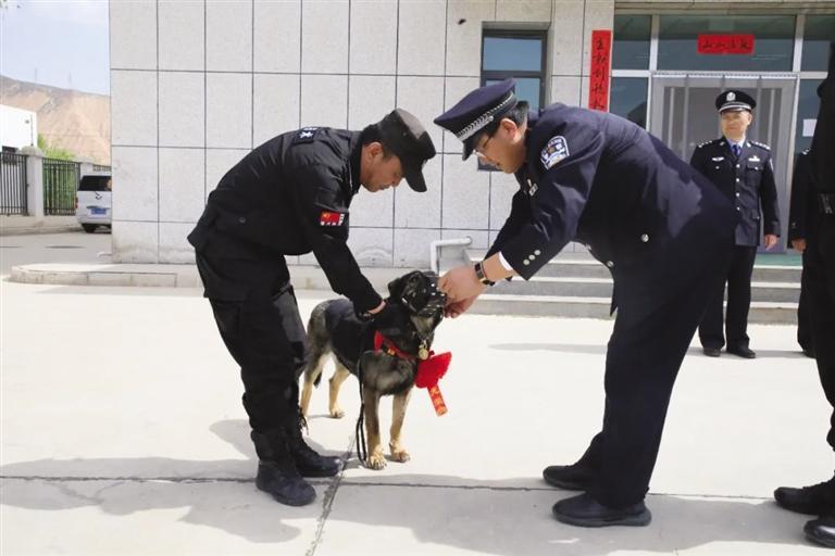 战友，再见！安宁公安送别退役警犬