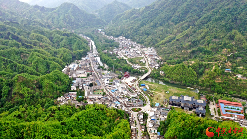 康县阳坝镇田坝村探索天麻种植新模式