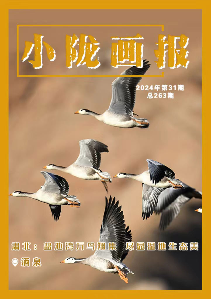 【小陇画报·263期】肃北盐池湾：万鸟翔集 尽显湿地生态美