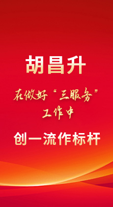 【甘快看】图解|胡昌升：在做好“三服务”工作中创一流作标杆