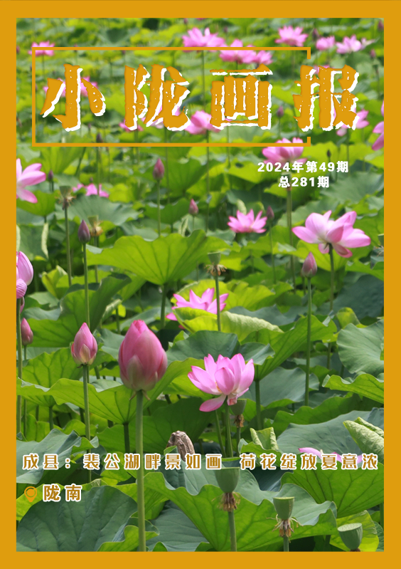 【小陇画报·281期】成县：裴公湖畔景如画  荷花绽放夏意浓