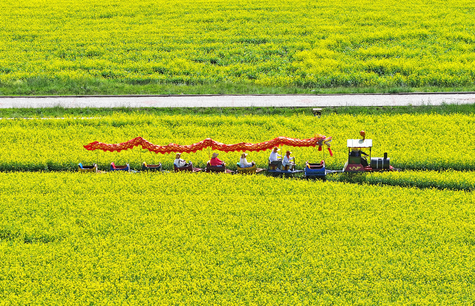 【大美甘肃】甘肃张掖民乐:扁都口油菜花海迎客来_fororder_DJI_20240715102323_0333_D.JPG