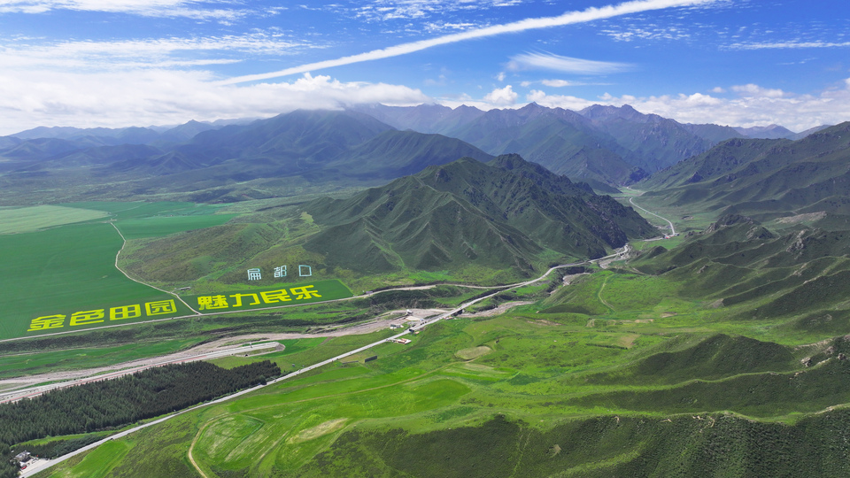 【大美甘肃】甘肃张掖民乐:扁都口油菜花海迎客来_fororder_DJI_20240715110030_0390_D.JPG