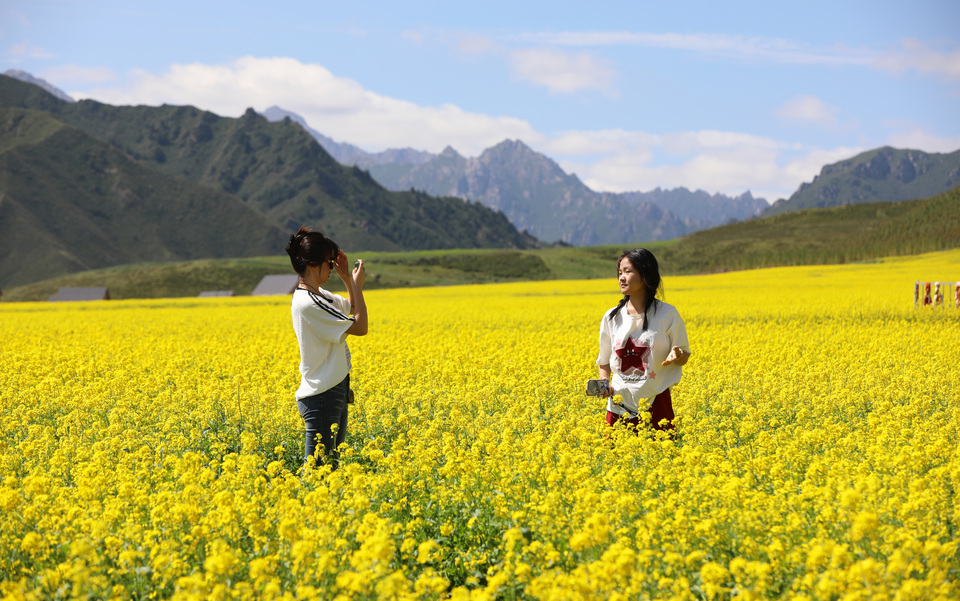 【大美甘肃】甘肃张掖民乐:扁都口油菜花海迎客来_fororder_E67A0154.JPG