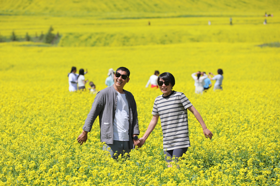 【大美甘肃】甘肃张掖民乐:扁都口油菜花海迎客来_fororder_E67A0259.JPG