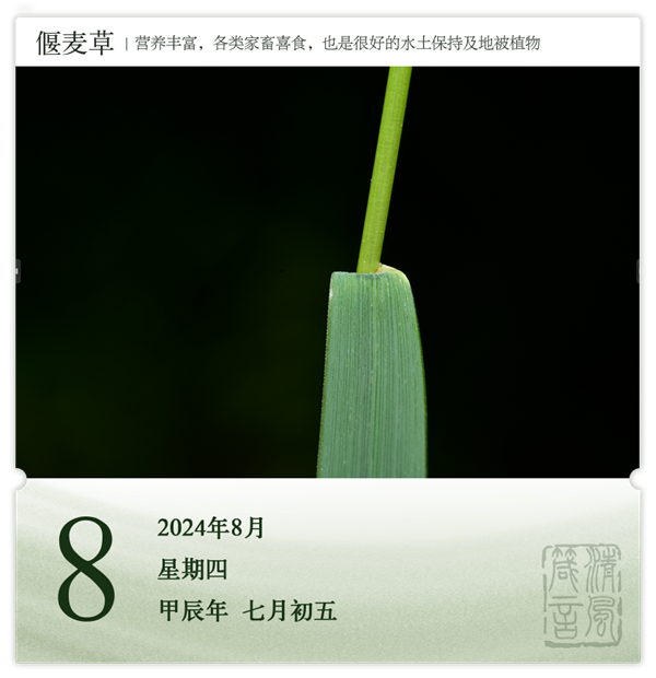 箴历日历8-8.png