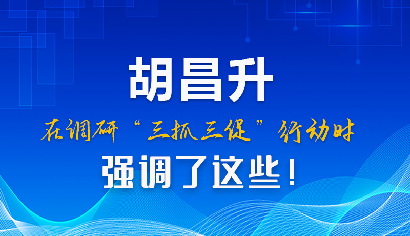图解|胡昌升在调研“三抓三促”行动时强调了这些！