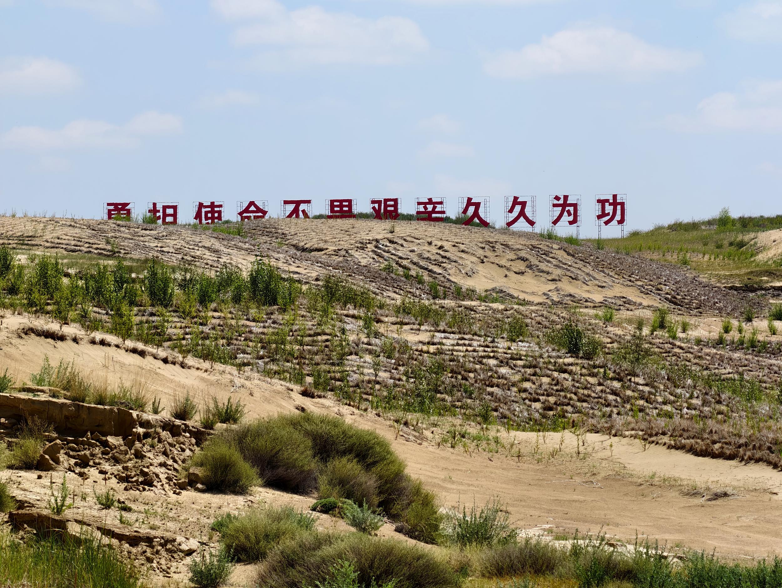 【2024打卡中国最美水源地】看“绿进沙退”荒漠变绿洲 外国网红在沙珠玉感受青海的绿色力量(组图) 【2024打卡中国最美水源地】看“绿进沙退”荒漠变绿洲 外国网红在沙珠玉感受青海的绿色力量(组图)_fororder_微信图片_20240828162154