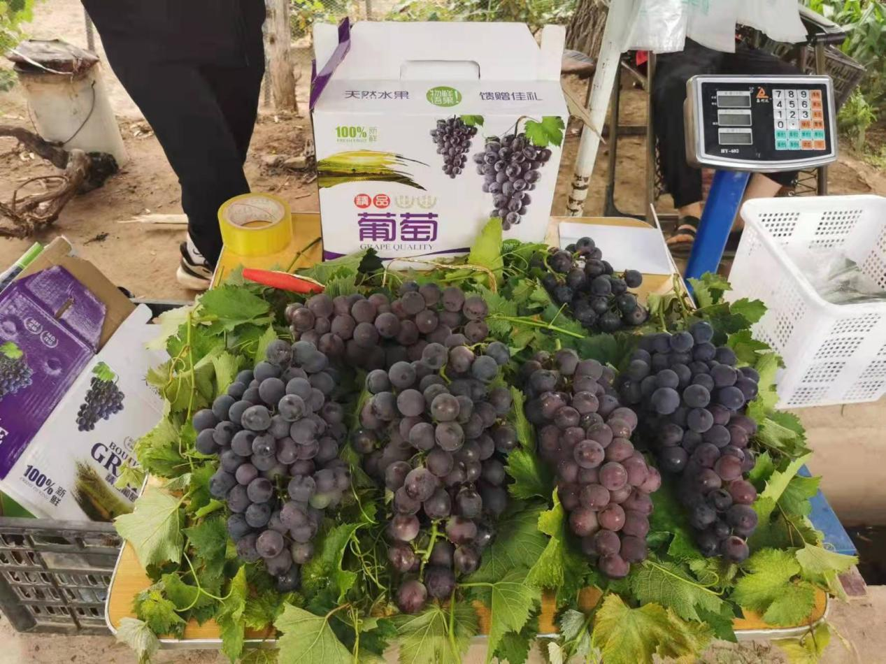 图片4