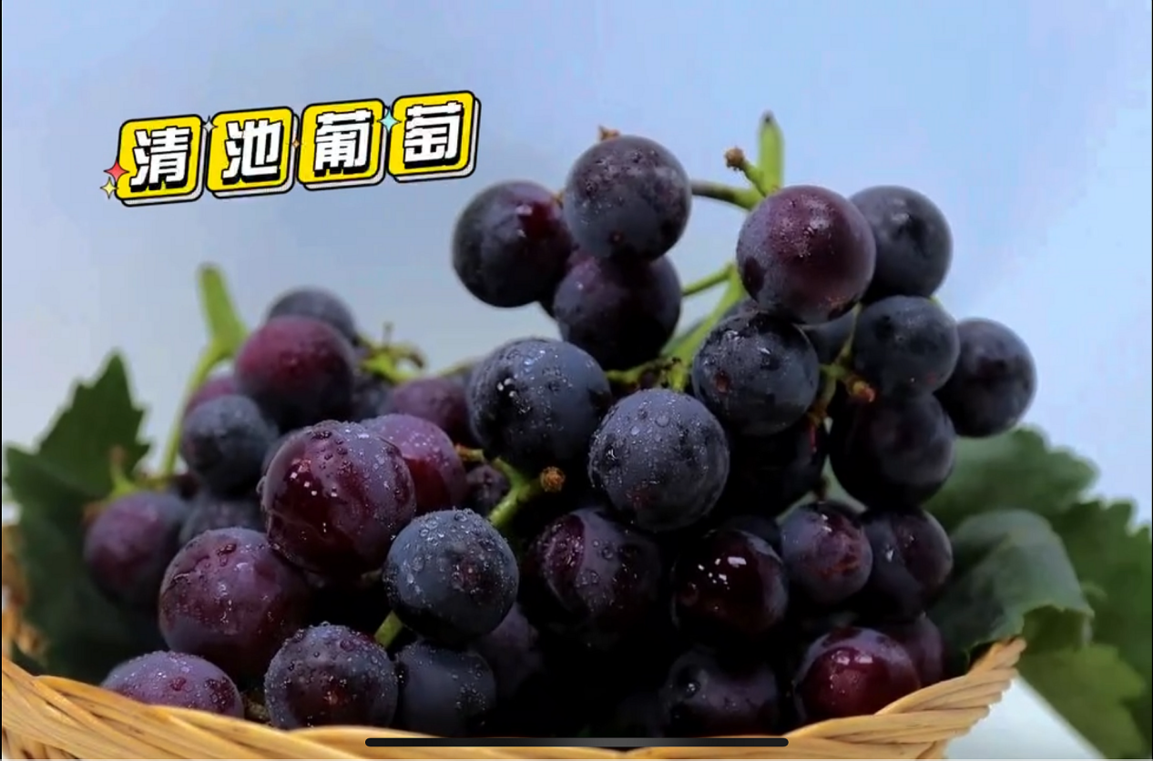 图片5